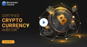 Certified Cryptocurrency Auditor (CCA)