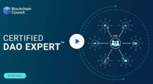 Certified DAO Expert