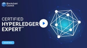 Certified Hyperledger Expert