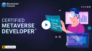 Certified Metaverse Developer