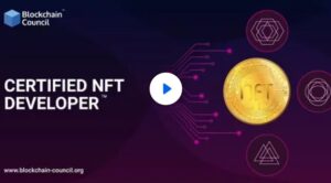 Certified NFT Developer