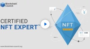 Certified NFT Expert