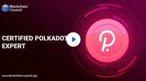 Certified Polkadot Expert